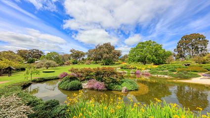 Japanese Garden - Cowra 